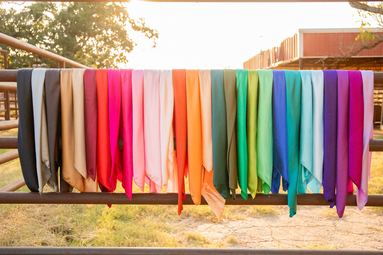 Solid Wild Rags