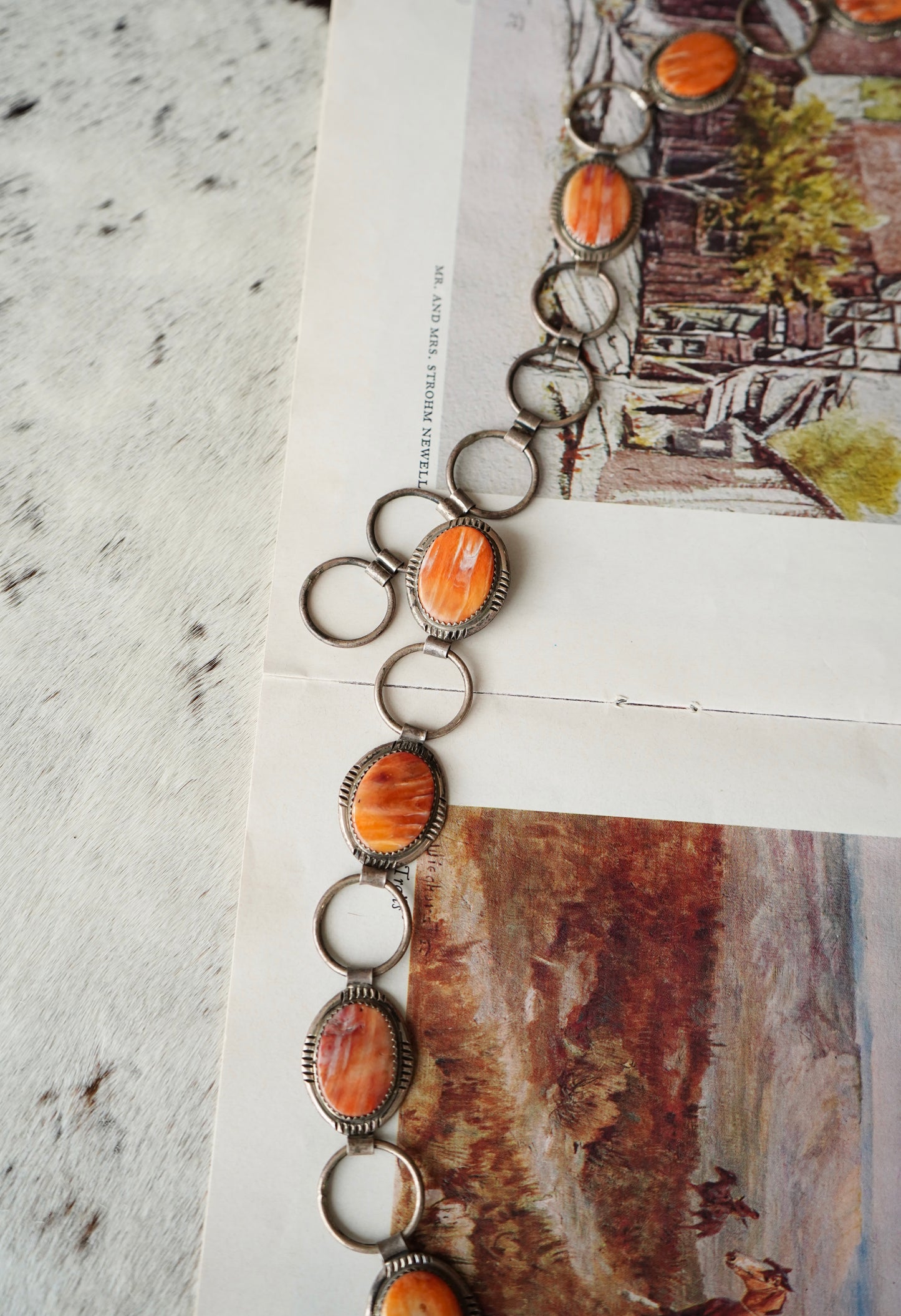 Glen Davis Orange Spiny Belt