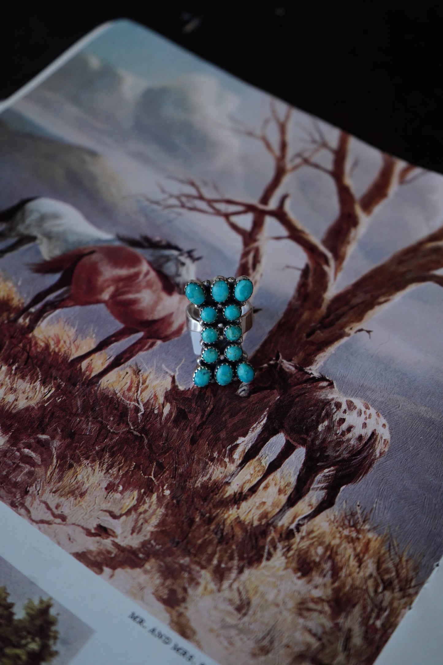 Turquoise Cluster Ring - Adj