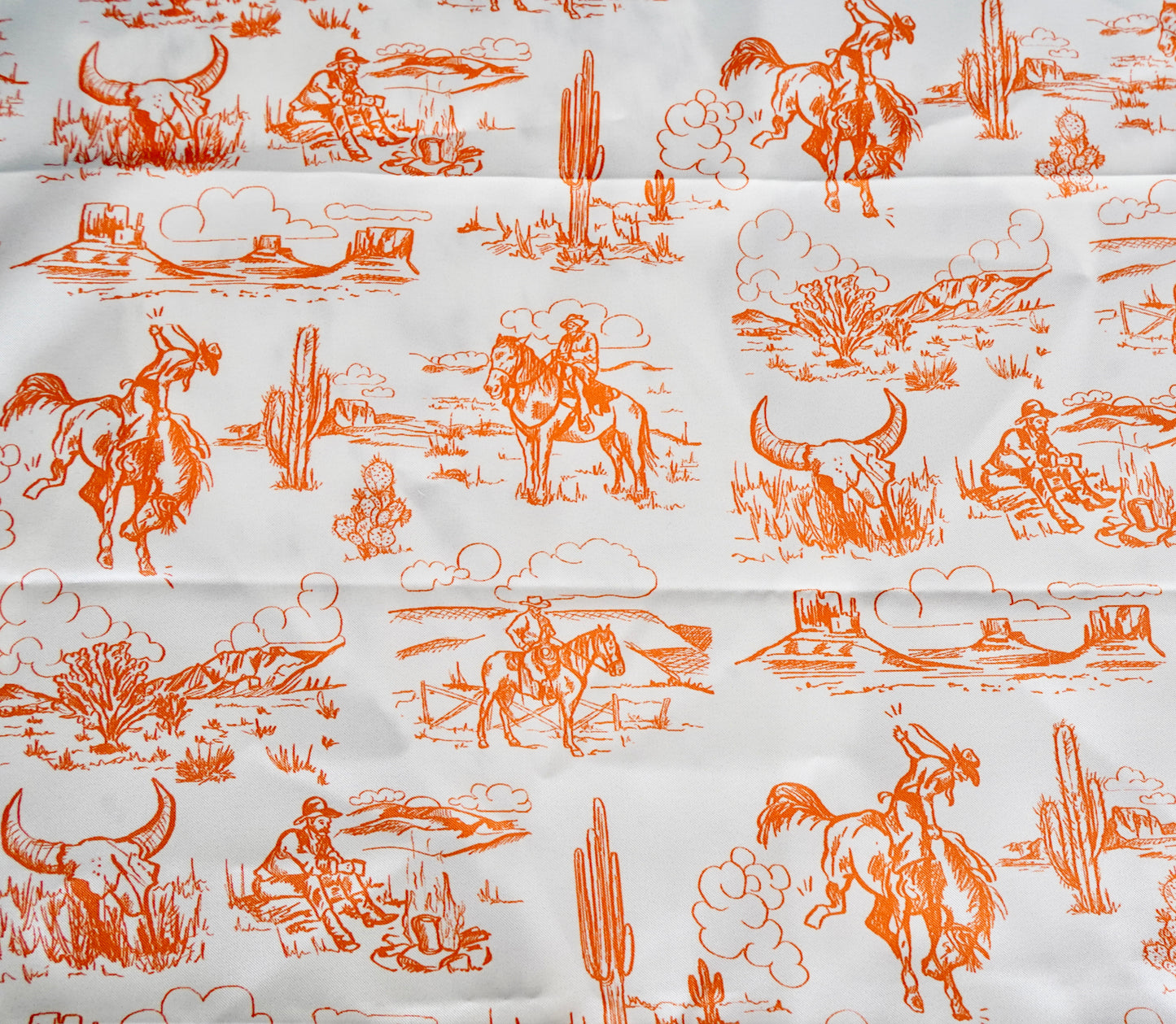 Pokes Wild Rags