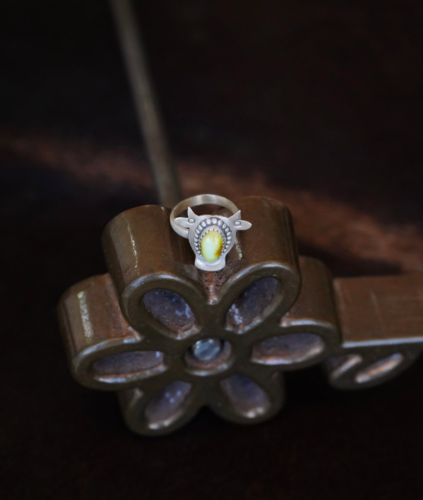 Palomino Cow Ring - Adj