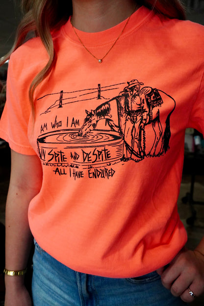 Spite Comfort Color T-Shirt