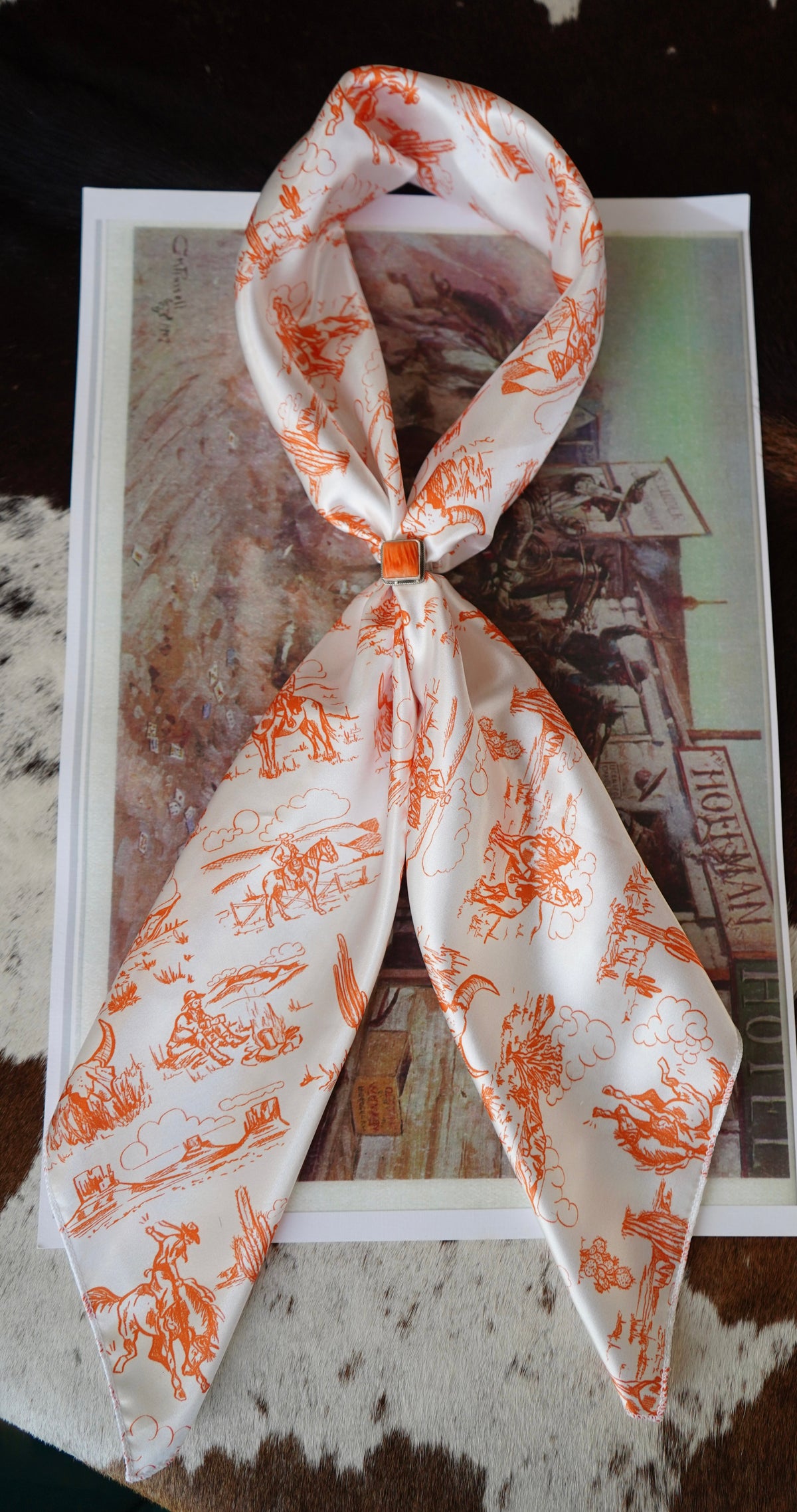 Pokes Wild Rags