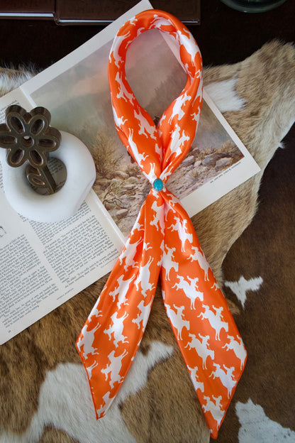 Pokes Wild Rags