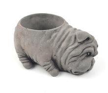 Load image into Gallery viewer, Decorative Hand-Poured Concrete Pots